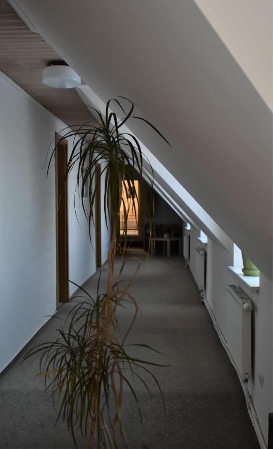 Guest House Gero Vejo Namai Klaipeda Bagian luar foto